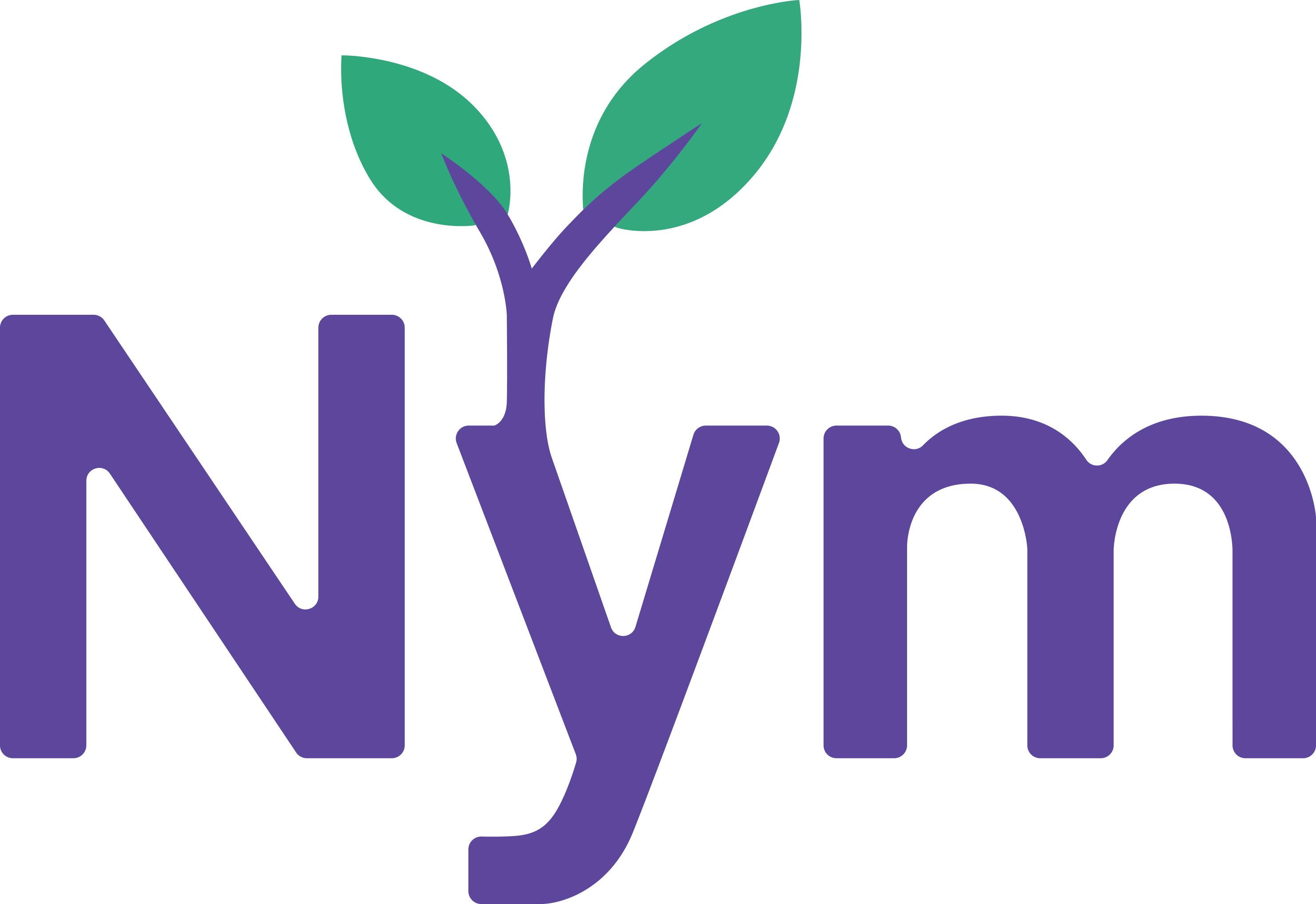 NYM Logo